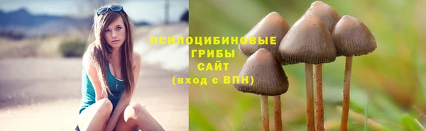 СК Алзамай