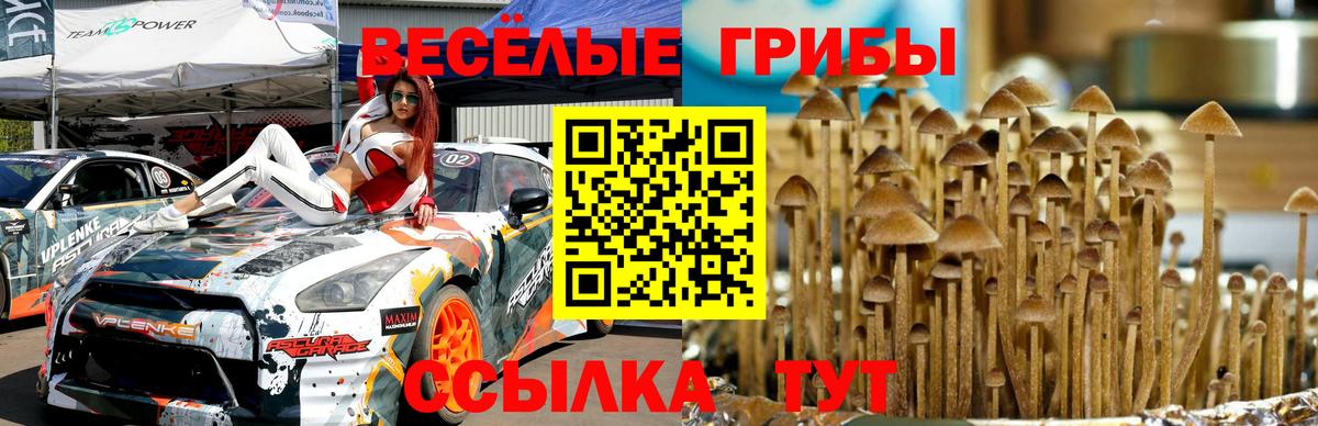 Псилоцибиновые грибы мухоморы  Вход с VPN  Елизово  Псилоцибиновые грибы GOLDEN TEACHER 
