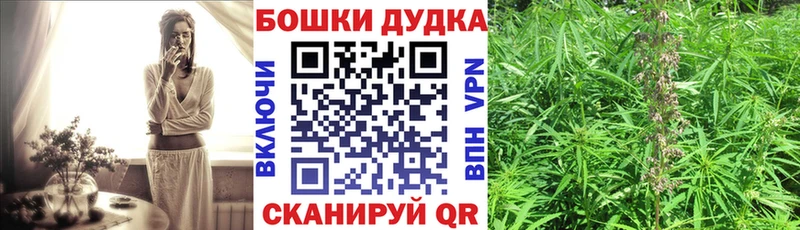 kraken зеркало Елизово Марихуана марихуана где можно купить наркотик